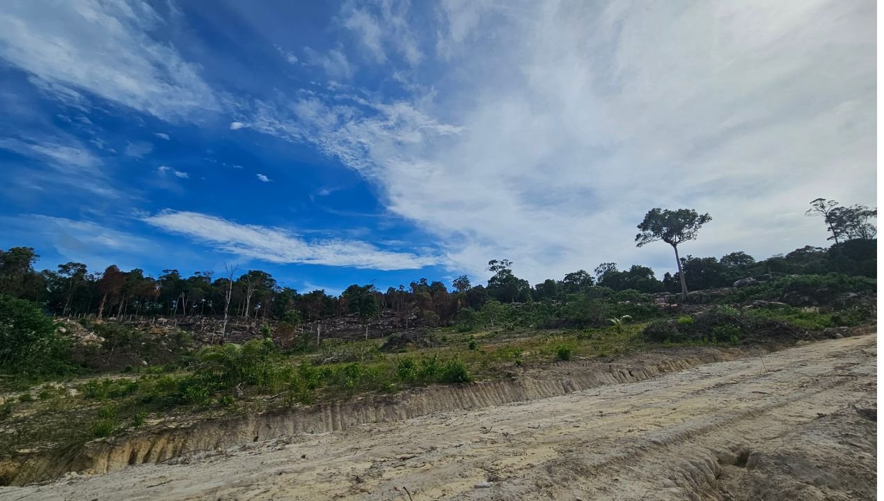 Prime seaview investment land in Koh Rong Island