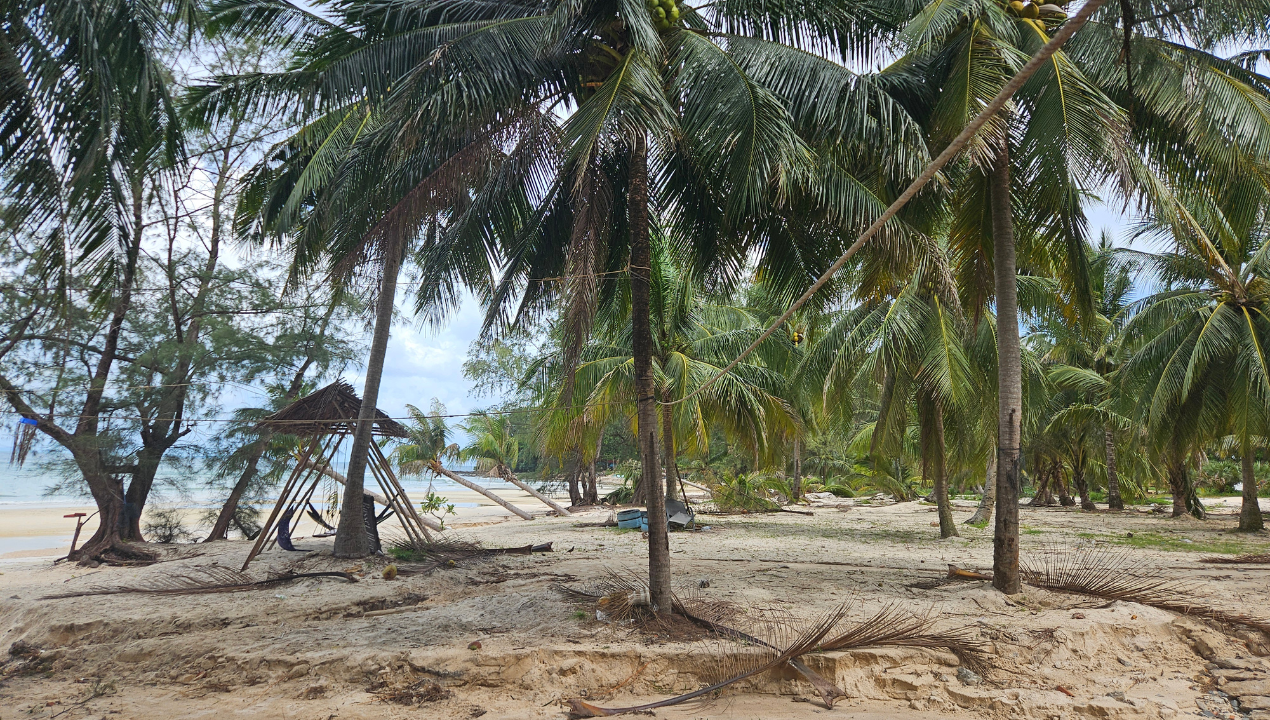 Coconut beach koh rong